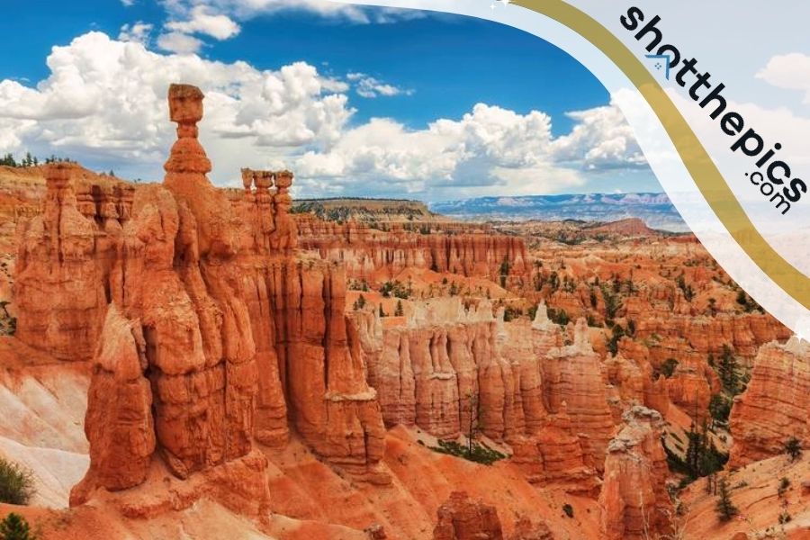 The Top National Parks in the US