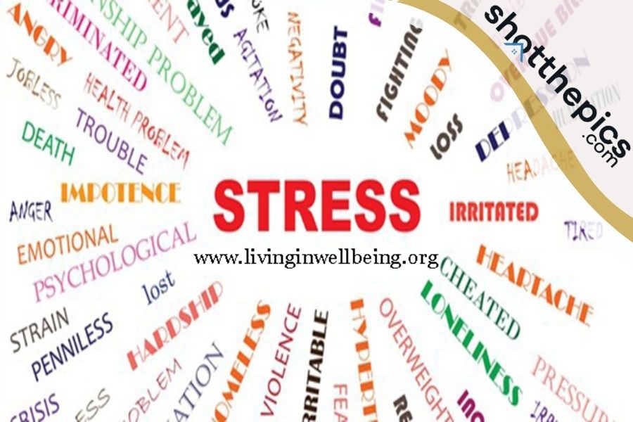 Tips and Tricks for a Stress