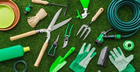Essential Tools and Equipment for Home Gardeners