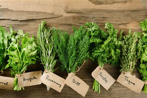 10 Easy-to-Grow Herbs for a Kitchen Garden
