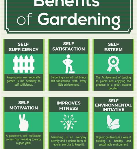 The Benefits of Starting an Indoor Garden at Home