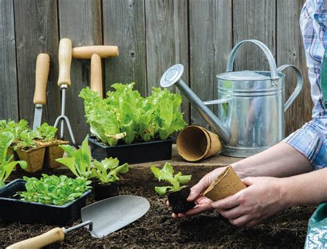 The Top Trends in Home Gardening for 2021