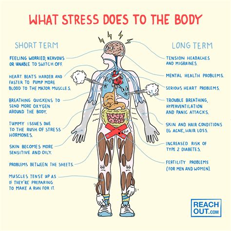 The Effects of Stress on Physical and Mental Health